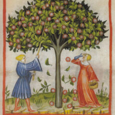Tudo começou em um Jardim Medieval