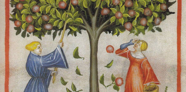 O Jardim Medieval: Entre o Sagrado e a Natureza