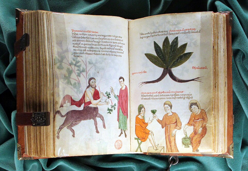 manuscrito iluminado 1250 Miscellânea Médica