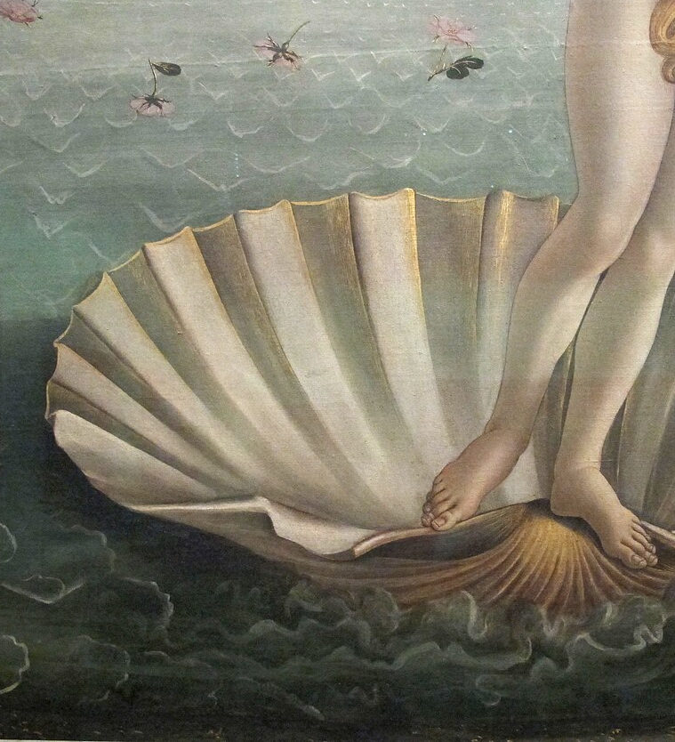 detalhe pintura Nascimento de Vênus de Sandro Botticelli mostrando os pés da deusa e pequenas ondas ao redor da concha